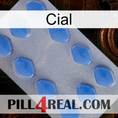 Cial 21